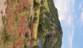 Trail Walking Le Puech - Celles 20240524 - Photo 1