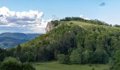 Percorso A piedi Gomadingen - Schafbersattel-Lochenbrünnele - Photo 4