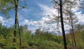 Randonnée Marche Esneux - autour du parc du Mary - variante  - Photo 6