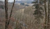 Trail Walking Schalkenmehren - Eifel Maaren - Photo 12