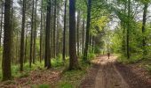 Tocht Stappen Gedinne - Balade à Gedinne - Photo 17