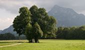 Tour Zu Fuß Anif - Aniferhof Runde - Photo 3