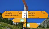 Tour Zu Fuß Ferden - Lötschentaler Höhenwanderweg - Photo 5