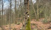 Randonnée Marche Spa - Source de la geronster  - Photo 7