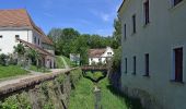 Trail On foot Gemeinde Mauerbach - Mauerbach - Steinriegl - Photo 2