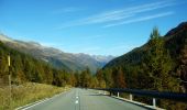 Tour Zu Fuß Bedretto - Alla Baita-Alpe di Cruina - Photo 4
