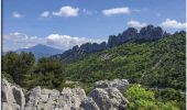 Randonnée Marche Gigondas - Gigondas Les Dentelles de Montmirail 13 km - Photo 2