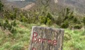 Trail  Marsanne - Marsanne sanctuaire de Fresneau - Photo 5