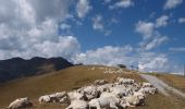 Percorso A piedi Chiusa di Pesio - (SI E05) Rifugio Garelli - Limonetto - Photo 2