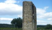 Tour Wandern Argens-Minervois - ARGENS - par Bassanel Bis - Photo 16