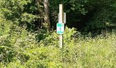Trail Walking Mettet - Pontaury Bambois - Photo 1