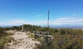 Tour Zu Fuß Lleida - Camí Natural del Riu. Ruta 2b - Photo 2