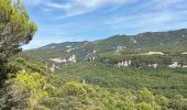 Trail Horseback riding Lauris - Provence 2025 J1 - Photo 14