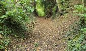 Tour Wandern Bueil-en-Touraine - Bueil-en-Touraine - Autour de la vallée du Long - Photo 17