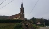 Tour Wandern Haspelschiedt - Hanviller - roppeviller - Haspelschiedt - Photo 7