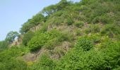 Tocht Te voet Bad Honnef - Rheinsteig-Zuweg Hövel/Aegidienberg - Photo 6