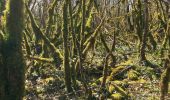 Tour Wandern Montfleur - Boucle à pont des vents - Photo 2