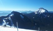 Tour Schneeschuhwandern Plateau-des-Petites-Roches - Pravouta en circuit partiel - Photo 1