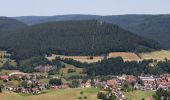 Tocht Te voet Baiersbronn - Baiersbronn Gleitschirmlandeplatz-Freudenstadt - Photo 5