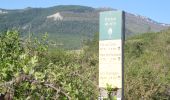 Randonnée Marche Die - Ausson - Montagne de Gavet (Diois) - Photo 1