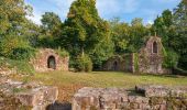 Percorso A piedi Eberbach - Rundwanderweg 3: Burg-Eberbach-Weg - Photo 10