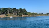 Tour Wandern Unknown - Tour du golfe du Morbihan  - Photo 19