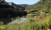 Tocht Stappen Collias - PF-Collias - Les Gorges du Gardon - Photo 19