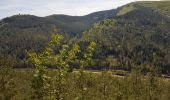 Tour Wandern Zabern - Saverne : rocher Rappenfels - grotte St Vit - château Greifenstein - Photo 11