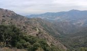 Trail Walking Collioure - madeloc depuis col de la serra, via col de villauria, batterie 500, retour  - Photo 18