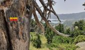 Percorso Marcia Les Angles - lac des bouillouses par balmette - Photo 11