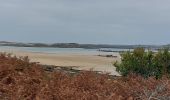 Trail Walking Pleumeur-Bodou - GR_34_EC_31_Pleumer-Bodou_Trebeurden_20241102 - Photo 7