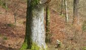 Percorso Marcia Herbeumont - herbeumont. sentier des songes - Photo 8