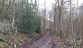 Tocht Oriëntatieloop Gruchet-le-Valasse - abbaye de valasse - Photo 3