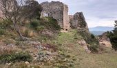 Tour Wandern Flassans-sur-Issole - Flassans sur Issole-19-01-22 - Photo 4