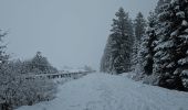 Trail Walking Waimes - A la découverte de Sourbrodt 🥾 - Photo 1