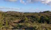 Tocht Stappen Boulbon - Boulbon et le Moulin Bonnet - Photo 5