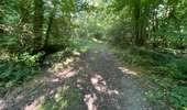 Randonnée Marche Rethondes - en Forêt de Laigue, 04_07_2025_sur les Routes du Grand Octogone, du Plessis-Brion, de Sainte-Croix, du Petit Octogone et de la Belle Assise - Photo 19