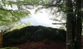 Trail Walking La Bresse - Kastelberg des pierres, des lacs, des panoramas magnifiques  - Photo 20
