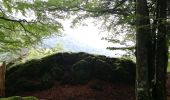 Randonnée Marche La Bresse - Kastelberg des pierres, des lacs, des panoramas magnifiques  - Photo 20