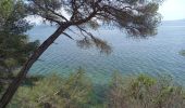 Tour Wandern Martigues - Parc de Figuerolles 26.5.24 - Photo 5