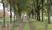 Tour Wandern Pepinster - Randonnée à Pepinster  - Photo 10