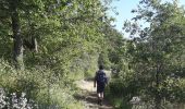 Trail Walking Arlebosc - arlebosc - Photo 19