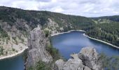 Tocht Stappen Orbey - Tour de lac Noir et du Lac Blanc  - Photo 8