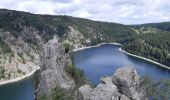 Tour Wandern Urbeis - Tour de lac Noir et du Lac Blanc  - Photo 8