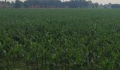 Trail Walking Hoogstraten - Wortel-Kolonie  - Photo 5