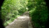 Excursión Senderismo Puy-Saint-Martin - La Montagne de Ste-Euphémie - Puy-St-Martin - Manas - Photo 15