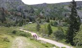 Trail Walking Soultzeren - Lac des Truites - Sentier du Neunlist  - Photo 11