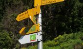 Tour Nordic Walking Ayent - Anzère - Botyre  - Photo 8