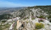Tour Wandern Toulon - Autour du Mont Faron - Photo 20