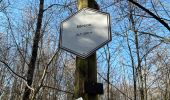 Trail  Musson - Musson - Photo 1